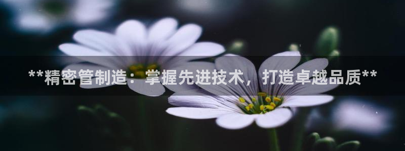 彩神网正规吗：**精密管制造：掌握先进技术，打造卓越品质**
