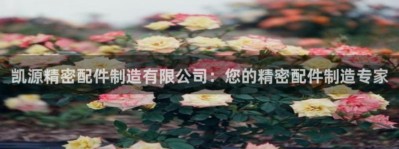 彩神旗下有哪些平台：凯源精密配件制造有限公司：您的精密配件制造专家