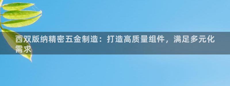 天天彩神welcome：西双版纳精密五金制造：打造高质量组件，满足多元化
需求