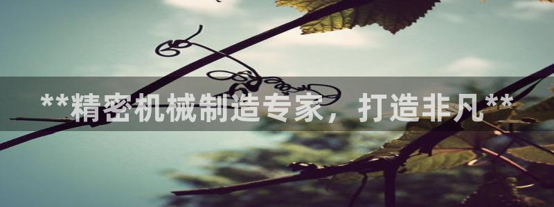 彩神平台可以破解吗：**精密机械制造专家，打造非凡**