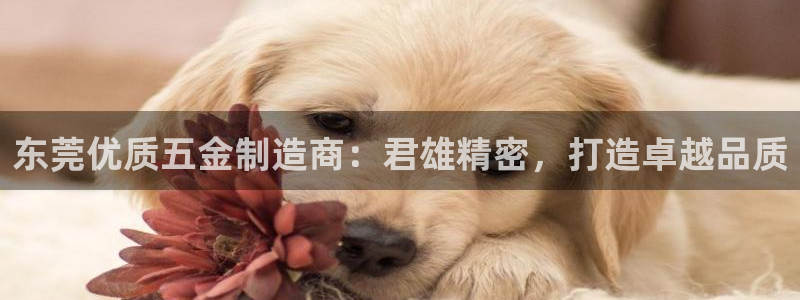 彩神趣购彩用户注册：东莞优质五金制造商：君雄精密，打造卓越品质