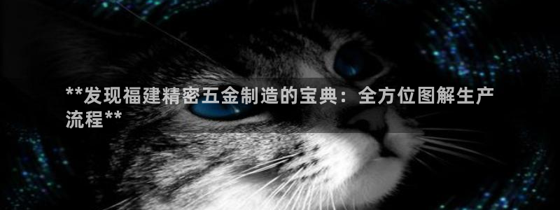 彩神ii官方网：**发现福建精密五金制造的宝典：全方位图解生产
流程**