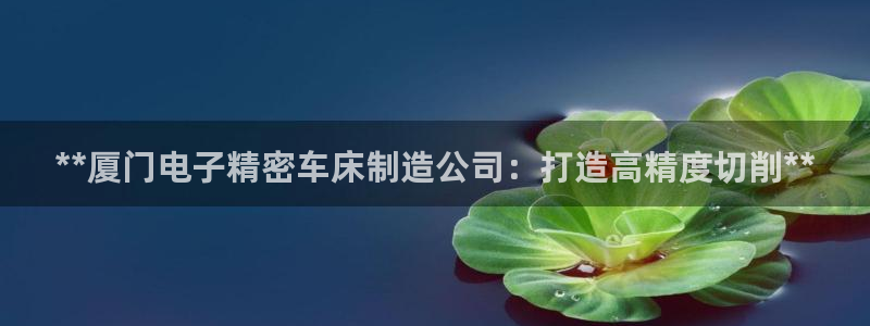彩神v8手机客户端下载：**厦门电子精密车床制造公司：打造高精度切削**