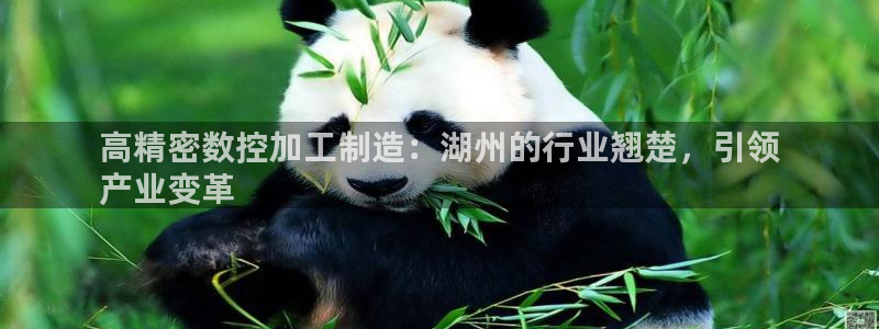 彩神vii官网大赢家：高精密数控加工制造：湖州的行业翘楚，引领
产业变革