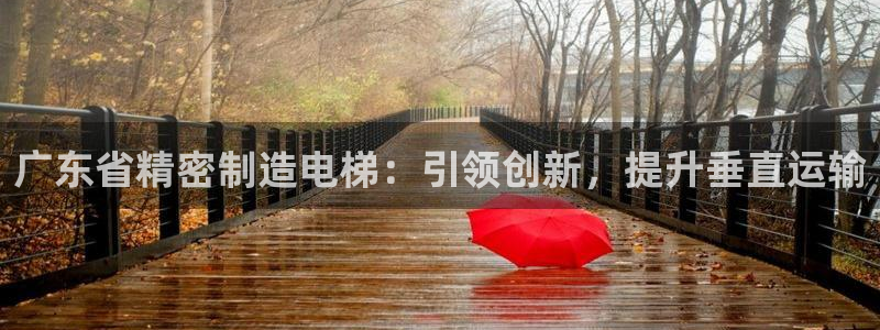 彩神V3大赢家：广东省精密制造电梯：引领创新，提升垂直运输
