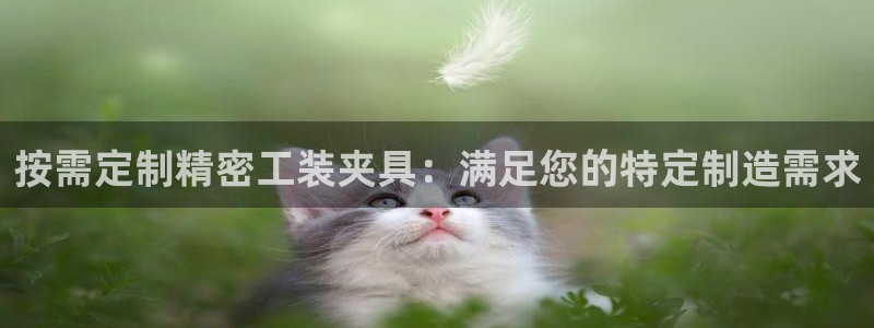彩神v集团有限公司：按需定制精密工装夹具：满足您的特定制造需求