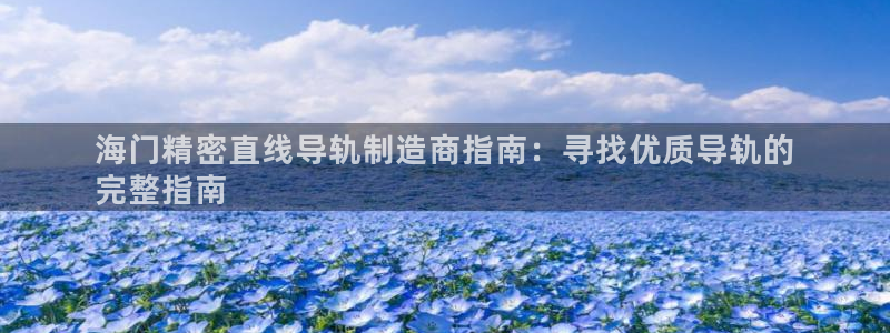 彩神vip购彩：海门精密直线导轨制造商指南：寻找优质导轨的
完整指南
