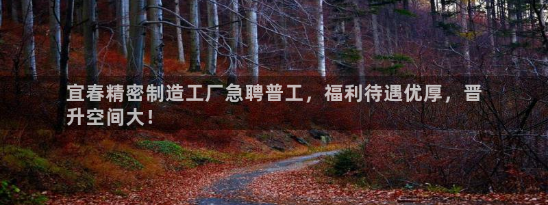 彩神赢钱了吗：宜春精密制造工厂急聘普工，福利待遇优厚，晋
升空间大！