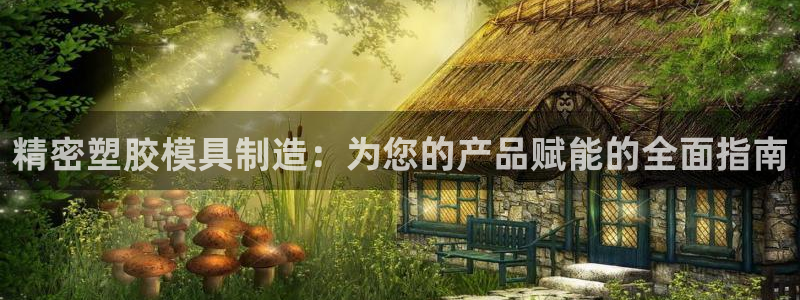 彩神v8平台正规吗：精密塑胶模具制造：为您的产品赋能的全面指南
