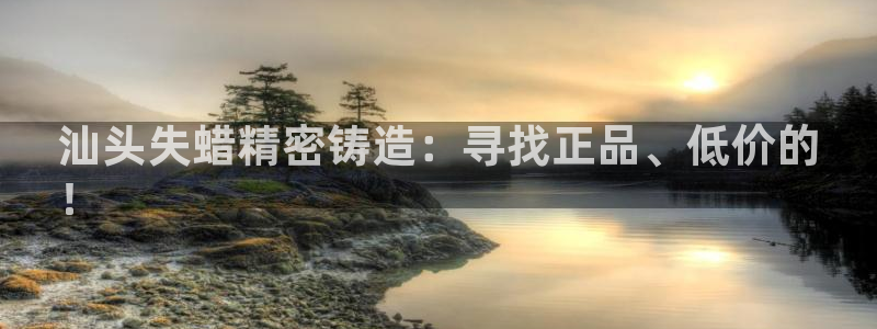 天天赢彩神：汕头失蜡精密铸造：寻找正品、低价的
！