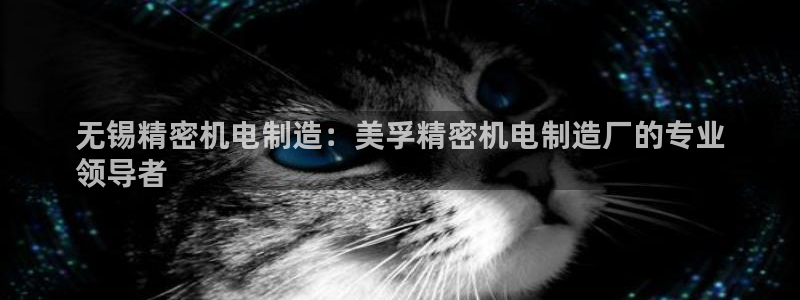彩神这个平台是真的吗：无锡精密机电制造：美孚精密机电制造厂的专业
领导者