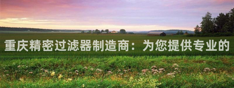 彩神vl官网：重庆精密过滤器制造商：为您提供专业的