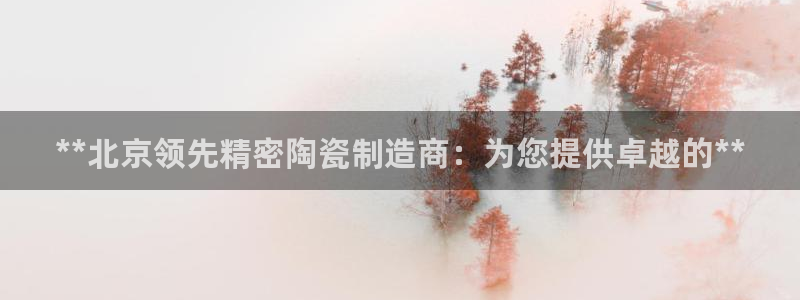 彩神V8平台：**北京领先精密陶瓷制造商：为您提供卓越的**