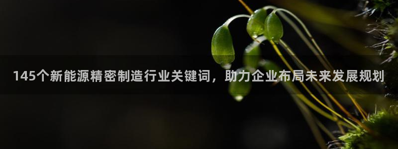 彩神购彩-购彩大厅入口下载：145个新能源精密制造行业关键词，助力企业布局未来发展规划