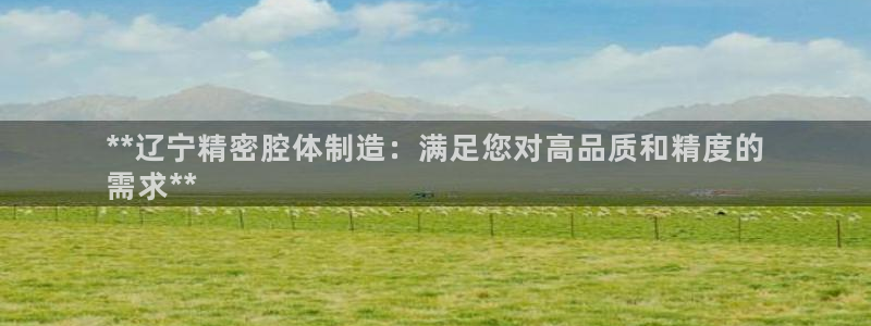 彩神vll首页企业文化：**辽宁精密腔体制造：满足您对高品质和精度的
需求**