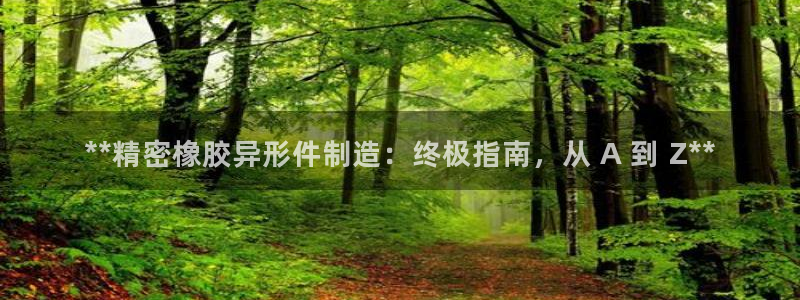 彩神购彩购彩大厅入口v：**精密橡胶异形件制造：终极指南，从 A 到 Z**