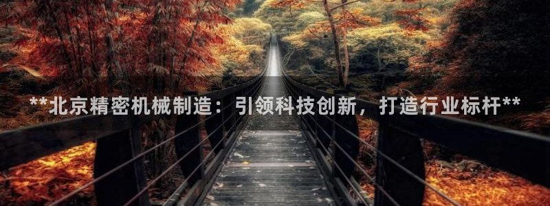 彩神购彩购彩大厅入口v：**北京精密机械制造：引领科技创新，打造行业标杆**