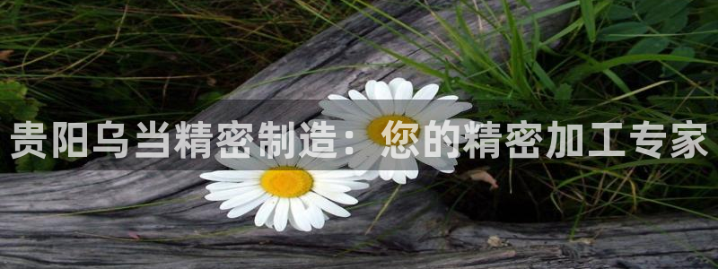 彩神V购彩大厅：贵阳乌当精密制造：您的精密加工专家