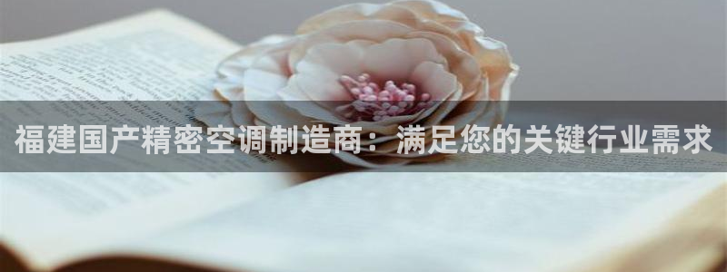 彩神广告有限公司：福建国产精密空调制造商：满足您的关键行业需求