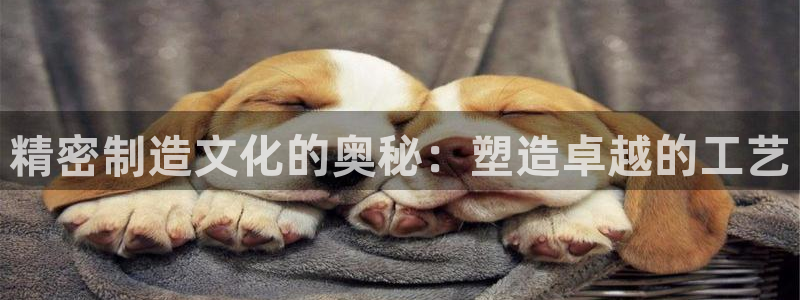 下载彩神通关注金码：精密制造文化的奥秘：塑造卓越的工艺