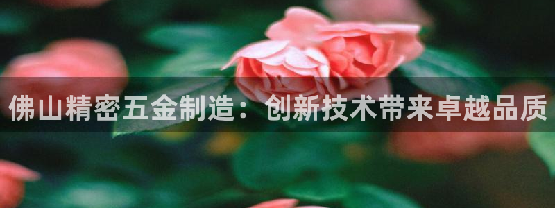 彩神vll官网在线登录：佛山精密五金制造：创新技术带来卓越品质