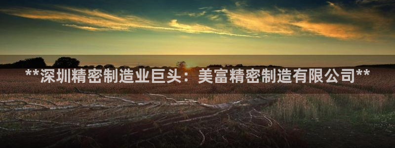 彩神8软件下载：**深圳精密制造业巨头：美富精密制造有限公司**