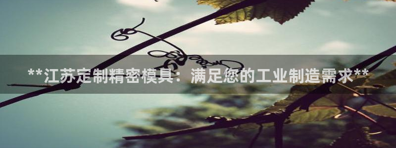 彩神购彩-购彩大厅入口老版：**江苏定制精密模具：满足您的工业制造需求**