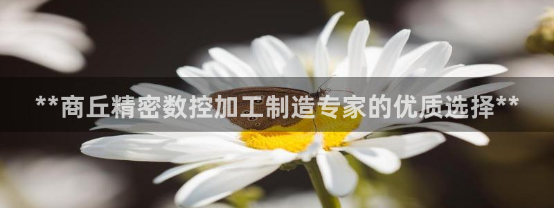 彩神VII官方版：**商丘精密数控加工制造专家的优质选择**