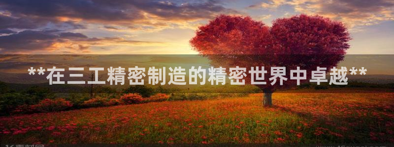 彩神vlll(中国)百度百科：**在三工精密制造的精密世界中卓越**