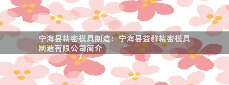 彩神赢钱了吗知乎：宁海县精密模具制造：宁海县益群精密模具
制造有限公司简介