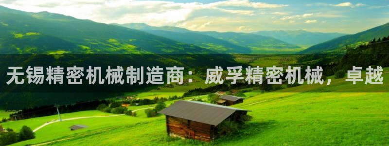 新版彩神v8登录不了：无锡精密机械制造商：威孚精密机械，卓越