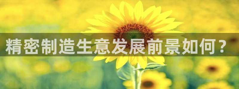 彩神团队是真的吗：精密制造生意发展前景如何？