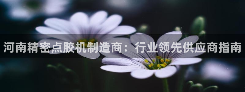 新版彩神v8登录不了：河南精密点胶机制造商：行业领先供应商指南