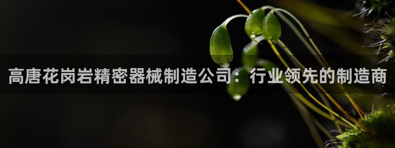 下载彩神通关注金码：高唐花岗岩精密器械制造公司：行业领先的制造商