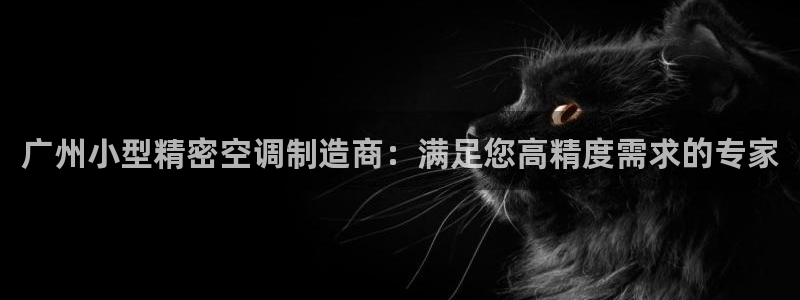彩神vll首页环球：广州小型精密空调制造商：满足您高精度需求的专家