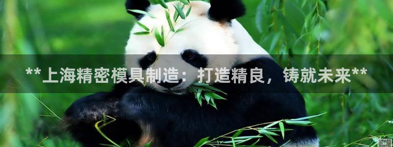 彩神邀请码:00-00-3267：**上海精密模具制造：打造精良，铸就未来**