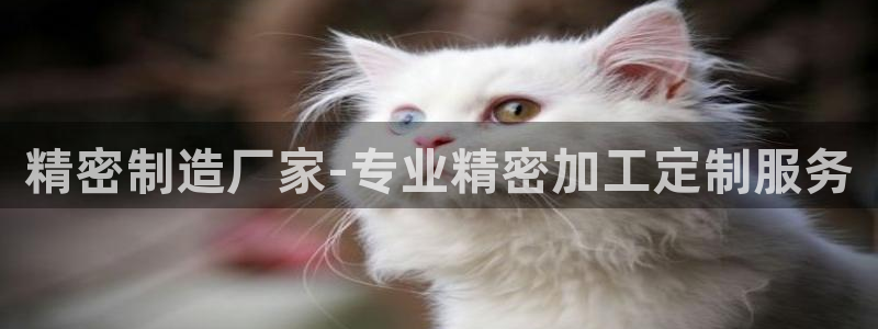 彩神购彩购彩大厅入口v：精密制造厂家-专业精密加工定制服务