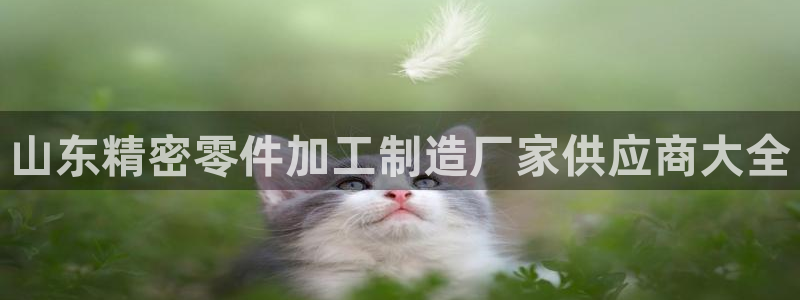 彩神v破解版：山东精密零件加工制造厂家供应商大全