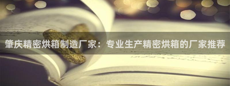 彩神8官网下：肇庆精密烘箱制造厂家：专业生产精密烘箱的厂家推荐