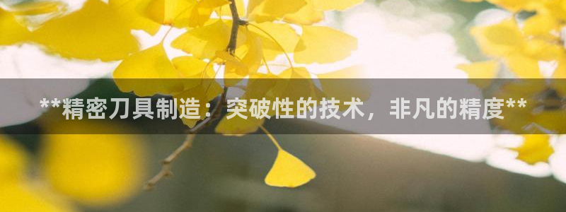 彩神vii购彩l心：**精密刀具制造：突破性的技术，非凡的精度**