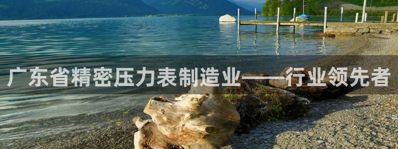 彩神v8平台正规吗：广东省精密压力表制造业——行业领先者