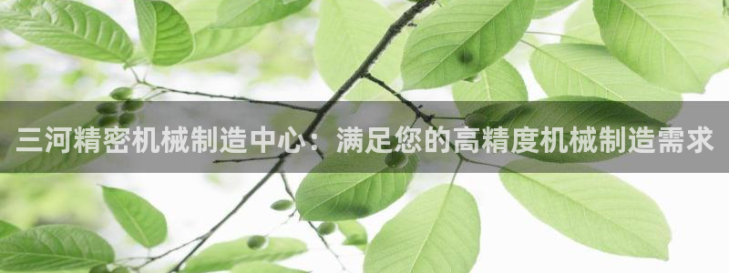 彩神vll官网在线登录：三河精密机械制造中心：满足您的高精度机械制造需求