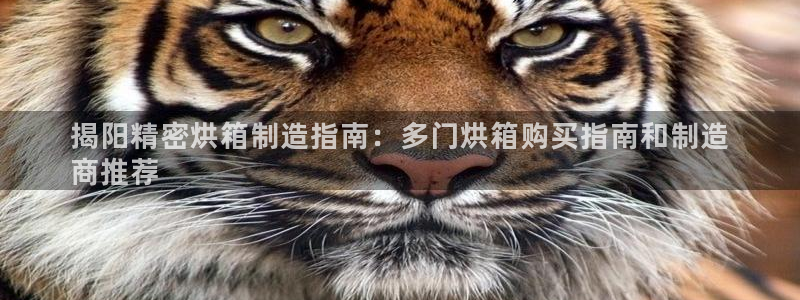 彩神viii官网：揭阳精密烘箱制造指南：多门烘箱购买指南和制造
商推荐