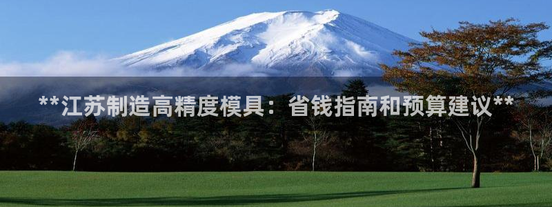 彩神8下载安卓版-彩神8(可提现)官网版1.0.0：**江苏制造高精度模具：省钱指南和预算建议**