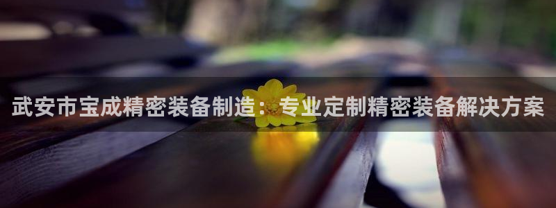 彩神购彩-购彩大厅入口500：武安市宝成精密装备制造：专业定制精密装备解决方案