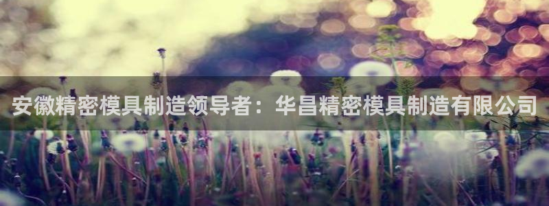 彩神v8首页：安徽精密模具制造领导者：华昌精密模具制造有限公司