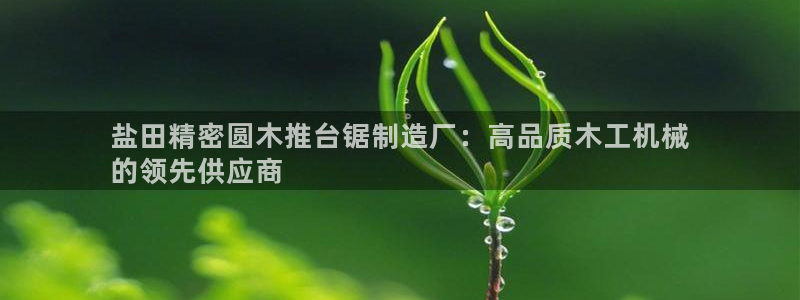 彩神是正规平台吗安全吗：盐田精密圆木推台锯制造厂：高品质木工机械
的领先供应商