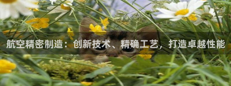 彩神v8手机客户端在哪：航空精密制造：创新技术、精确工艺，打造卓越性能