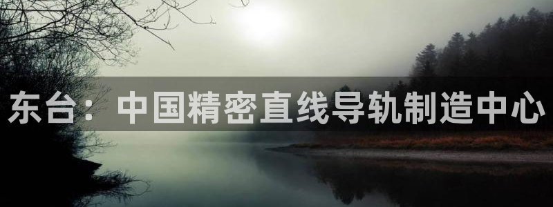 彩神争霸老平台：东台：中国精密直线导轨制造中心