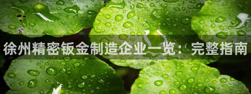 彩神v大众娱乐：徐州精密钣金制造企业一览：完整指南